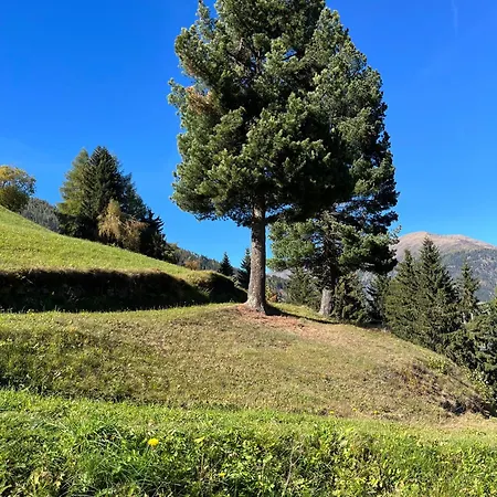 Rasterhof